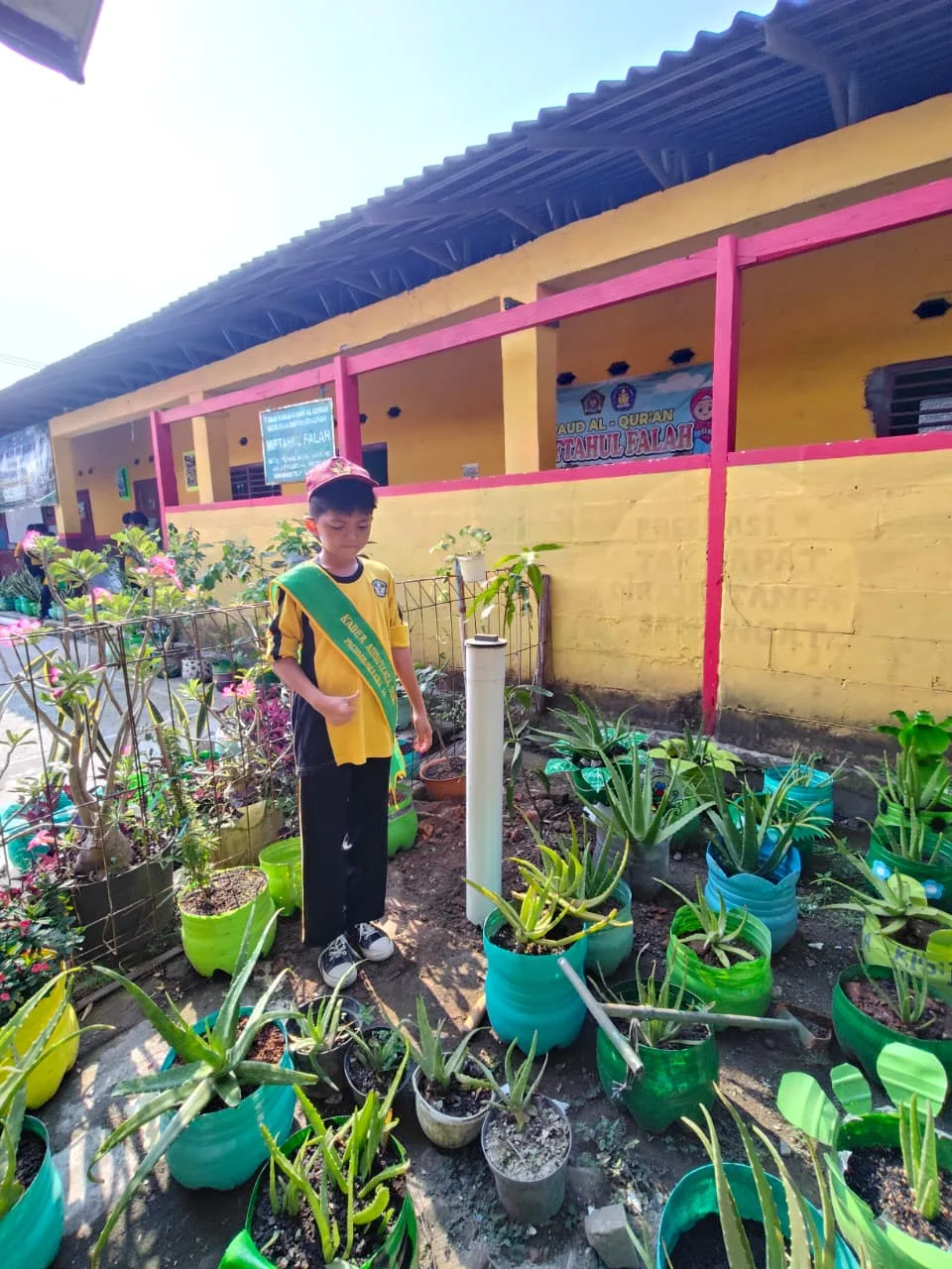 Merawat Tanaman di Sekolah